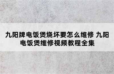 九阳牌电饭煲烧坏要怎么维修 九阳电饭煲维修视频教程全集